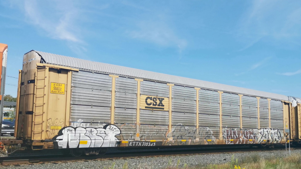 CSX T8878 (Body) ETTX 710345 (Flat)